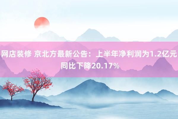 网店装修 京北方最新公告：上半年净利润为1.2亿元 同比下降20.17%